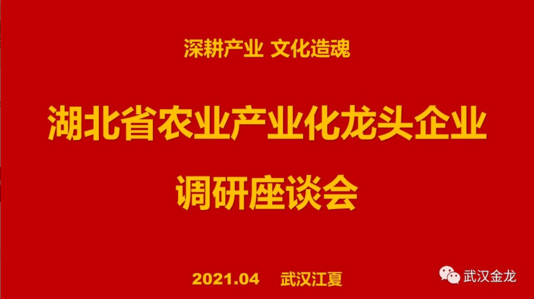 省農(nóng)業(yè)產(chǎn)業(yè)化龍頭企業(yè)調研座談會在武漢金龍集團會議室順利召開